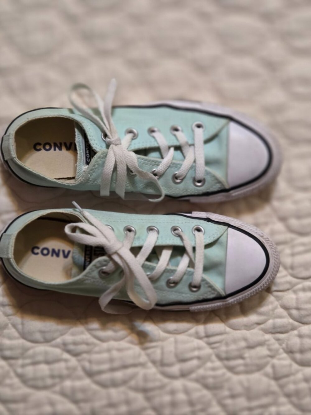 Excellent Condition Converse Chuck Taylor All Star Low Top Mint Green
